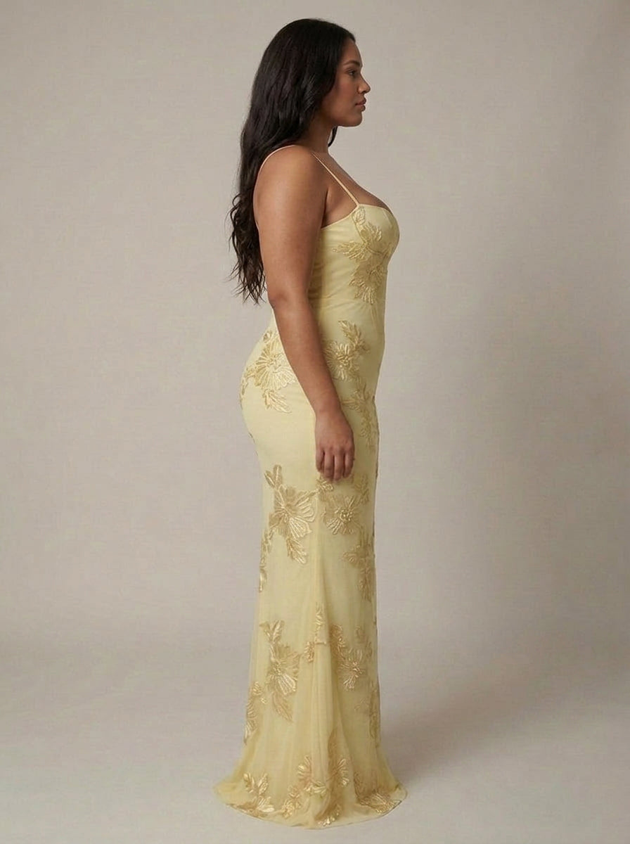 Evadne Maxi Mekko