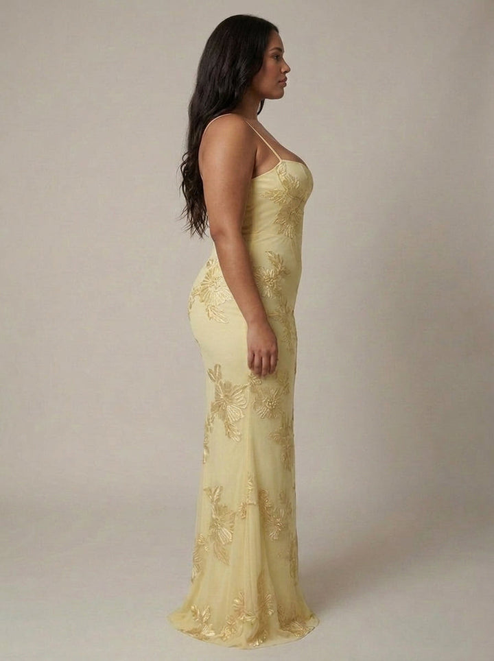 Evadne Maxi Mekko